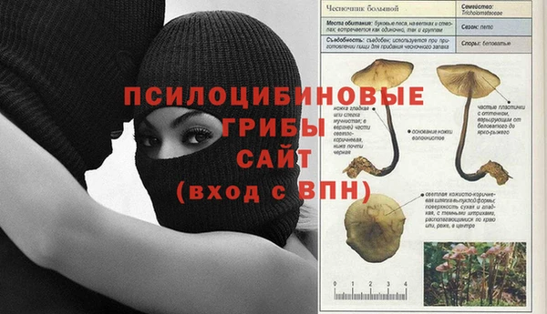 прущий лед Ельня