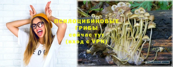 герыч Елизово