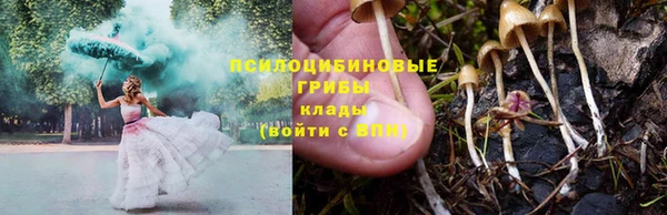 кокаин колумбия Заводоуковск