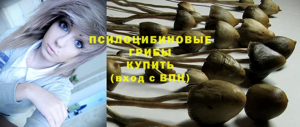 прущий лед Ельня