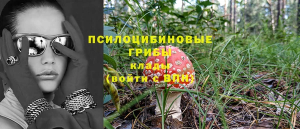прущий лед Ельня