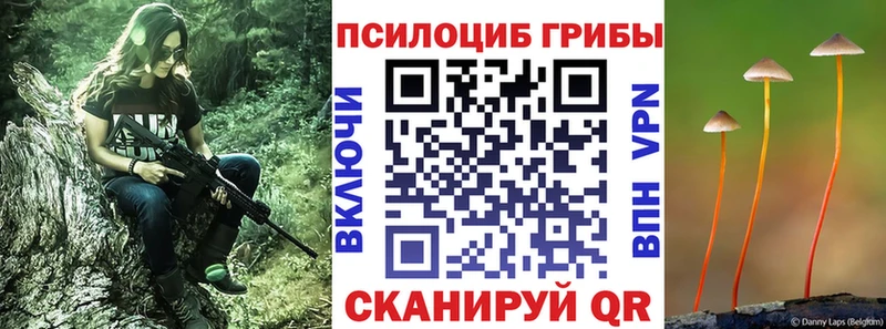 Купить где  Тейково  Галлюциногенные грибы прущие грибы 